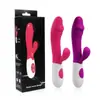 Vibrador de silicona de 30 frecuencias de doble cabeza, palo de masaje AV de silicona, juguetes sexuales para adultos, palo AV de vibración de doble cabeza de moda