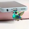 Tapón de Polvo Popular Acrílico Transfronterizo para Cuidado de Mascotas, Adecuado para Interfaz Tipo-C, Cuidado y Mantenimiento de Teléfonos Móviles