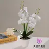 Orquídea Mariposa Bonsái Artificial Personalizada de 12 Flores Decoración de Interior Adorno Creativo para Estudio Sala de Estar Planta en Maceta