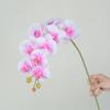 Orquídea Phalaenopsis Simulada de Alta Qualidade 9 Flores 7 Flores 5 Flores Filme Tátil Flores Artificiais Casamento Decoração de Casa Orquídea Europeia Atacado