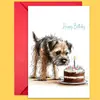 Conjunto Combinado de Cartão de Cumprimentos com Envelope de Feliz Aniversário Novo Transfronteiriço com Cartões de Cumprimentos de Aniversário de Cachorro Escritos à Mão Tamanho Grande A partir de 10 Conjuntos
