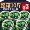 2024 Fresco Jade de Shandong Ocho Días Ajo Encurtido Ajo Ajo Verde Comida Comercial