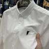 Camisa de manga larga para hombre, 100% algodón, con bordado Paul, para primavera y otoño, Oxford, color liso, tendencia