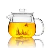Suministro al por mayor vidrio resistente a altas temperaturas Pingüino olla Vidrio de borosilicato alto Tetera Pingüino tetera de 500 ml