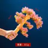 Decoraciones para emplatar sushi estilo japonés, decoraciones para platos de sushi de mariscos, arreglos florales y de flores secas, moldes para cubitos de hielo y accesorios para emplatar pescado rojo