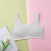 Ropa interior de algodón puro para niñas de 12 a 18 años, período de desarrollo, estudiantes de secundaria, estudiantes de preparatoria, sujetador deportivo de una pieza a prueba de impactos para niña