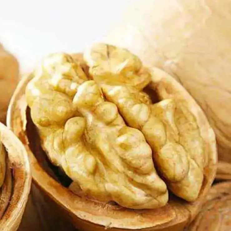 微信图片_20190507134358