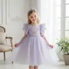 Vestido de princesa para niña transfronterizo, vestido de tutú de malla morada, vestido infantil, vestido para fiesta de cumpleaños, vestido de dama de honor