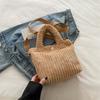 Bolso Cruzado Pequeño de Pana Estilo Coreano de Nicho Peludo de Moda Otoño e Invierno 2025 Bolso de Mano Bolso Tote