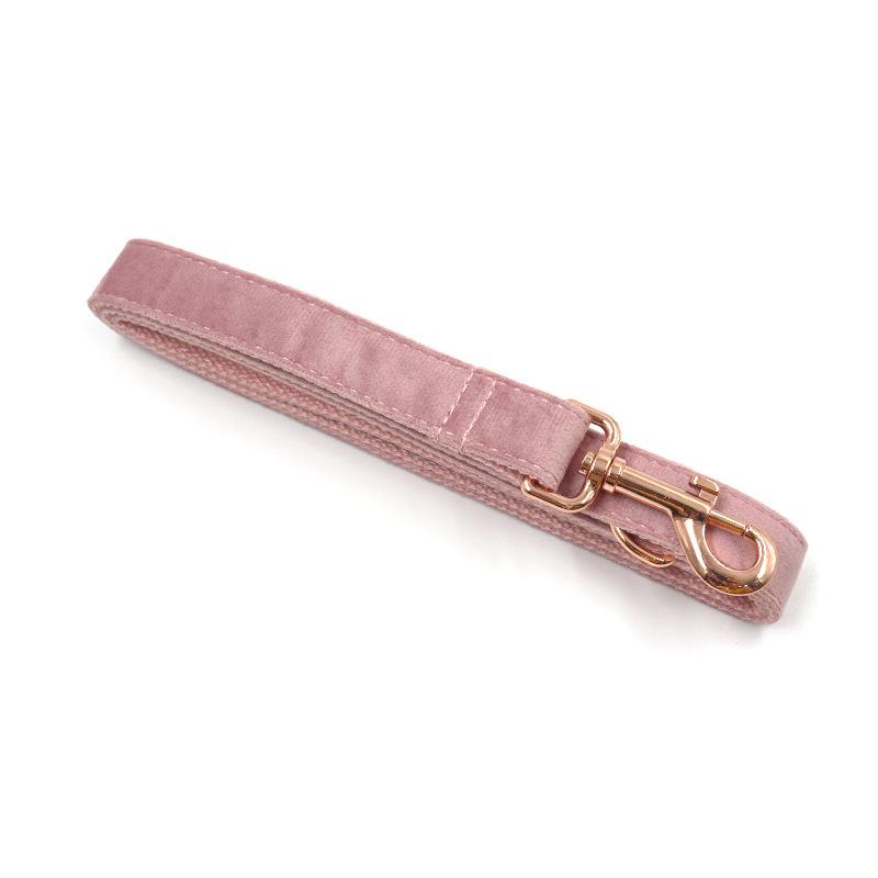 狗项圈 (4)