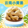 Gengibre amarelo pequeno de alta montanha de Yunnan atacado dropshipping 1/3/5/ 4,5kg gengibre pós-parto gengibre picante pedaços vegetais frescos