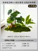 Musgo para Paisajismo de Plantas Verdes Plantas Artificiales Decoración Flores Artificiales Combinación Tropical para Interiores Paisaje de Ventana Persa Arreglo de Césped