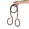 Guia de Cachorro Anti-Choque Corda P Integrada Corrente P Guia Grossa para Cachorro Guia para Passeio de Cachorro Corrente para Cachorro Adequada para Cães Pequenos, Médios e Grandes