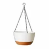 Suministro Especial para Maceta Colgante Transfronteriza Maceta de Autorriego a Prueba de Fugas Maceta Colgante para Jardinería de Balcón y Patio En Stock Venta al por Mayor