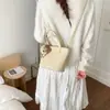 Bolso Cubo de Mano Estilo Coreano Ins para Mujer 2026 Nuevo Estilo Bolso de Hombro Único Cruzado para el Trabajo y Uso Diario, Bolso Pequeño Moderno y Casual