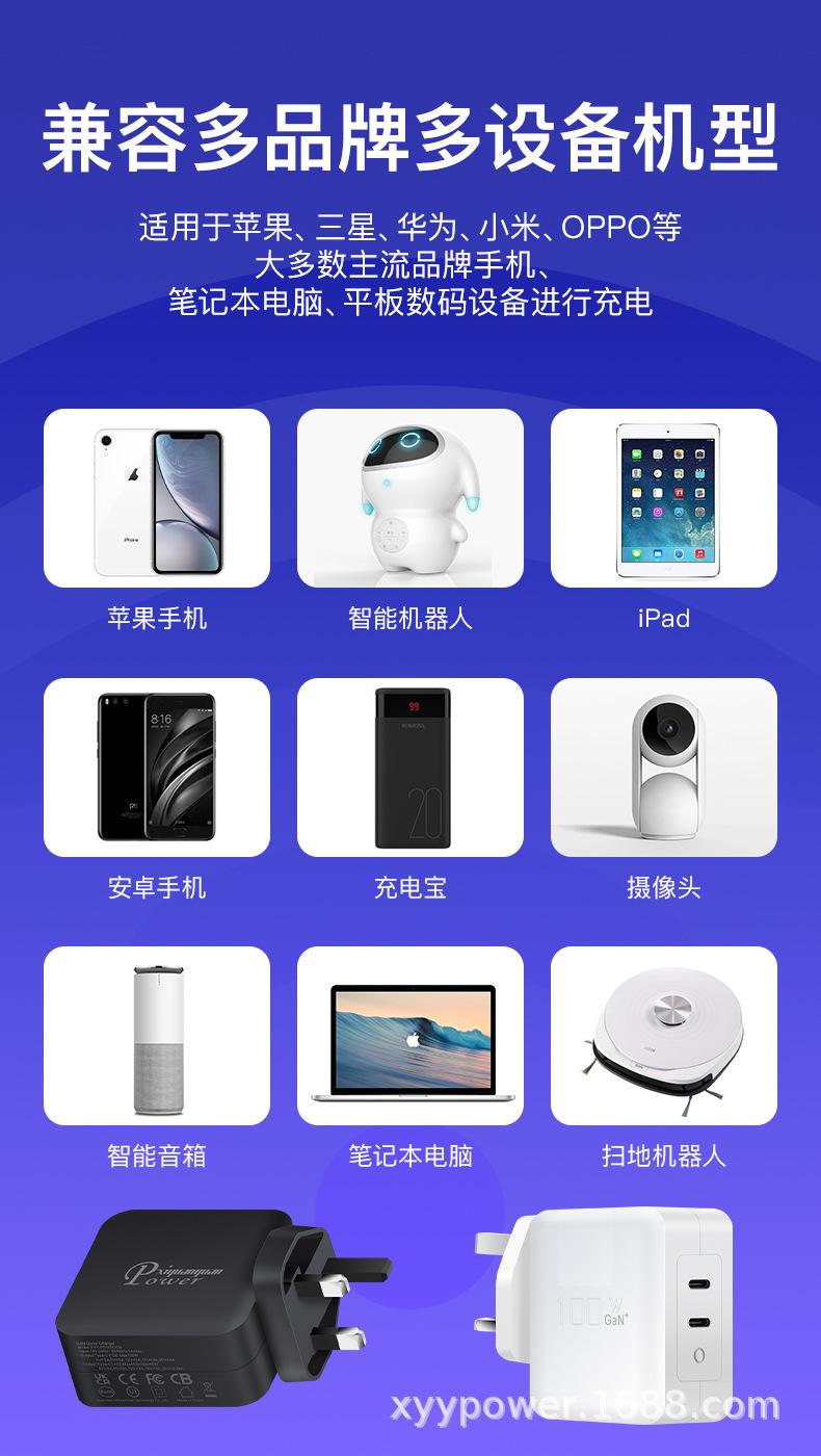 PD100W氮化镓C+C英规