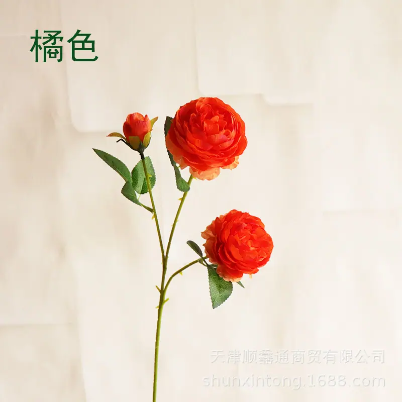 3头洋牡丹橘色11.jpg