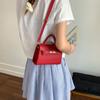 Bolso de Mano Nicho de Aspecto Elevado para Mujer 2025 Verano Nuevo Trendy y Elegante Trabajo Hombro Cruzado Bolso Kelly