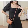 Correas Ajustables al por Mayor para Modificación de Bolsos DIY, Adecuadas para Bolsos Mini Longchamp