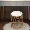 Cadeira de Maquiagem para Celebridades da Internet de Luxo Leve, Cadeira Simples para Uso Doméstico, Cadeira Preguiçosa para Quarto com Encosto, Cadeira em Forma de Pétala, Banqueta para Mesa de Maquiagem de Manicure