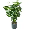 Flores Artificiales y Plantas Verdes Bonsái para Sala de Estar y Escritorio de Oficina, Macetas de Flores Falsas, Decoración de Plantas Artificiales de Interior, Plantas Bonsái Pequeñas