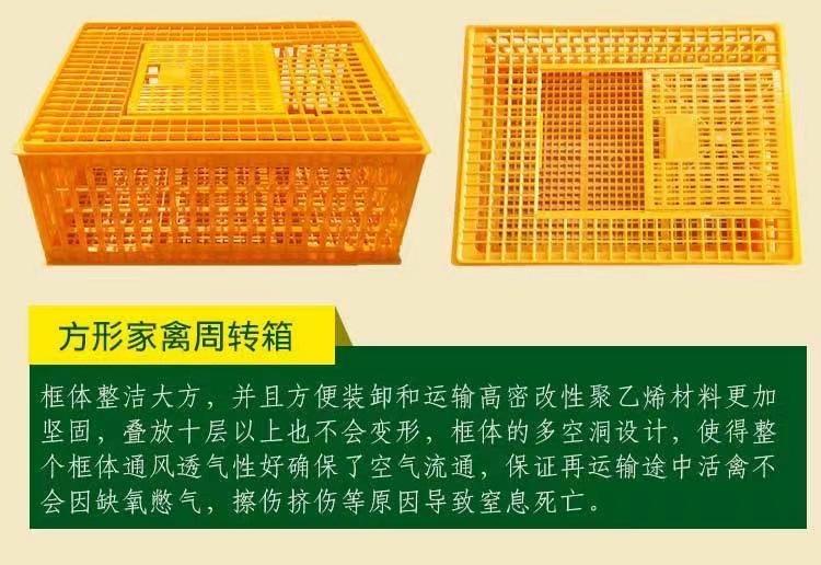 微信图片_20241113160137