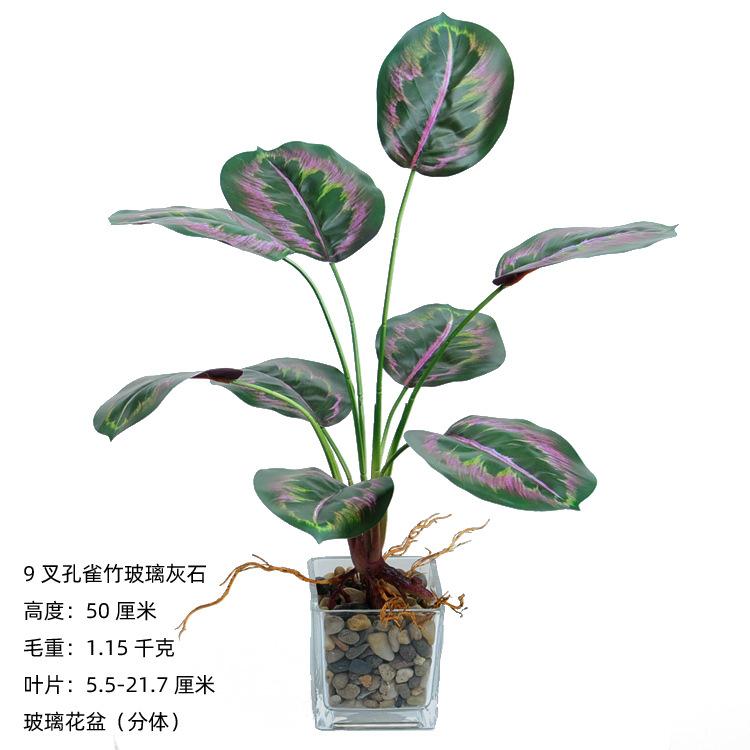 9叉带须孔雀竹玻璃黑石