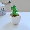 Suculenta Pequeño Bonsái Cerámica Muebles para el Hogar Decoración Fabricante de Jinhua Plantas Verdes Aliexpress Flor Artificial Plantas en Maceta