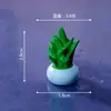 Micro-Paisaje de Musgo Creativo Dibujos Animados Jardín Miniaturas DIY Jardinería Paisajismo Decoraciones de Nicho de Alta Gama Pequeños Adornos
