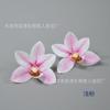 Película de simulación de flor de Cymbidium, tocado Dai, horquilla de Xunpu, flor, accesorios étnicos para el cabello, caja de flores, paquete de material, flor a juego