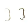 Fabricante de Dongguan Suministra Directamente Clips de Resorte de Acero Inoxidable, Resortes de Forma Especial y Resortes de Varias Especificaciones