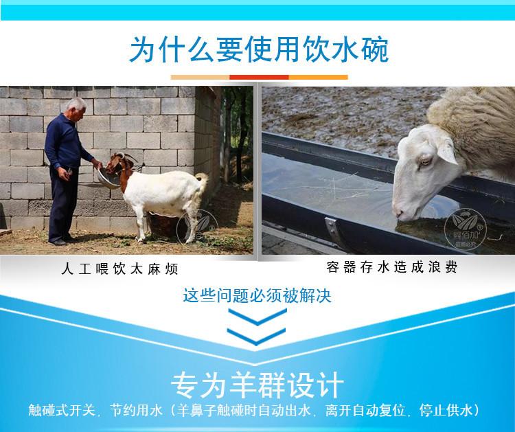 羊饮水碗AA详情页(2).jpg