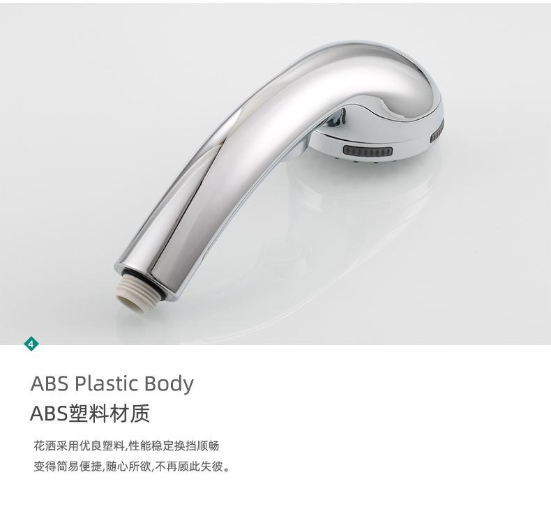 BS160_10.jpg