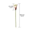 Venta de Liquidación 90% de Descuento Flores Artificiales Lirio de Calas de PU Estilo Ins de Amazon Fabricante de Suministro Transfronterizo Decoración del Hogar Celebración de Bodas