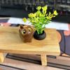 Talla de madera de sándalo verde, gato curioso, animal creativo, madera, lindo gato, texto, juego, pieza de mano, regalo de cumpleaños