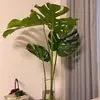 Monstera Hidropónica en Maceta Interior Plantas Verdes Fáciles de Cultivar Sala de Estar Oficina Grande Celebridad de Internet Estilo Tropical Escandinavo Pila Vieja