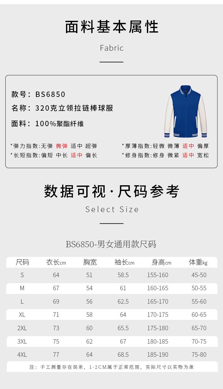 BS6850_06.jpg