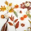 Explosiones de AliExpress 39 Peonía Naranja Hojas de Rosa Hierba Acuática Flor de Pasador de Cabello DIY Decoración de Navidad