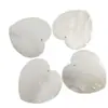 Colgante de Madreperla de Agua Dulce Natural Colgante en Forma de Corazón Agujero Único Concha Cruda Pieza de Concha Cortada Colgante para Collar DIY