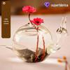 Vaso Criativo Lindo Estilo Europeu de Caracol Vaso de Flores Hidropônicas Moda Acessórios para Casa Artesanato Garrafa de Aromaterapia Enfeites