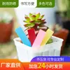 Vaso de Flor Suculenta Etiqueta de Plástico Vaso de Planta Suculenta Retentor de Água Etiqueta Suculenta Vaso de Flor para Mudas de Jardinagem Plugues