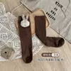 Calcetines para Niños 2025 Otoño e Invierno Accesorios Conejito Doble Aguja Nuevos Calcetines de Felpa para Niñas Calcetines de Media Pantorrilla para Niños Fabricante Venta al por Mayor