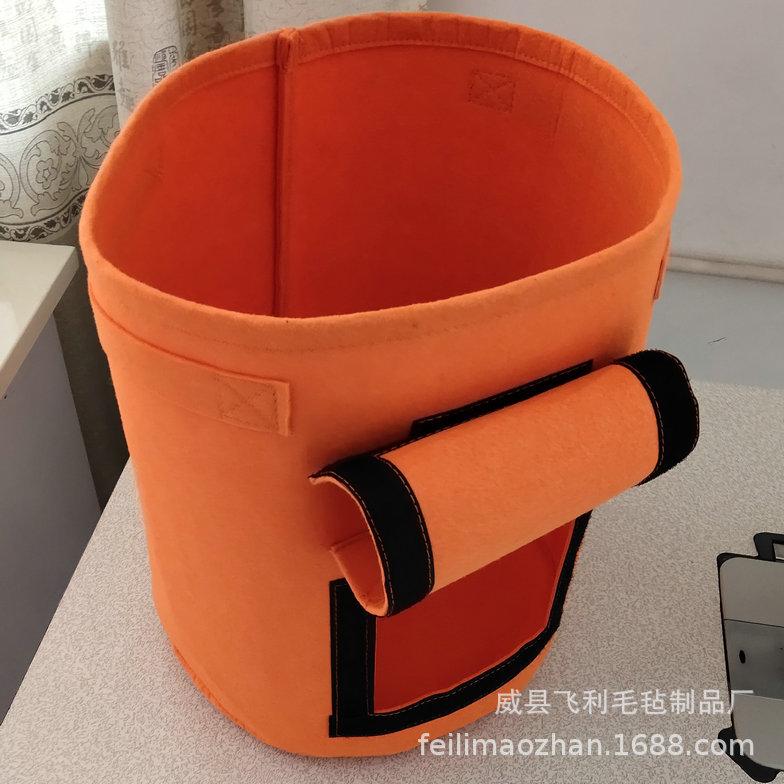 照片 258_副本.jpg