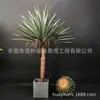 Estilo Nórdico Série Vermelha e Rosa Conjunto Combinado Planta Simulada Folha de Piano Ficus Folha de Tartaruga Bananeira Viajante