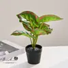 Flores Artificiales, Plantas Verdes Artificiales Transfronterizas, Plantas Pequeñas en Maceta, Decoración del Hogar, Flores Artificiales, Decoraciones de Interior para Bodas y Fiestas, Bonsái Simulado
