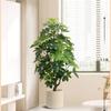 Planta de Simulación Madera Pie de Pato de Pie en Maceta Planta Verde Biónica Adornos Sala de Estar Lado del Sofá Decoración del Hogar Bonsái Árbol Falso