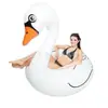 Fabricantes de Voltaje Anillo Inflable de PVC para Nadar Anillo de Natación de Animales Acuáticos Anillo de Natación a la Deriva