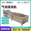 Máquina de limpieza automática de burbujas, equipo de lavado de verduras tipo spray y línea de producción de procesamiento de frutas y verduras