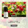 Série Romântica Óleo Essencial de Aromaterapia Fragrância Duradoura para Ambiente Interno Ar Fresco Extrato de Planta Óleo Essencial de Aromaterapia