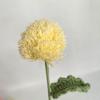 Nuevo ramo de simulación tejido a mano con lana ramo de crisantemo de ping-pong flores artificiales terminadas flores falsas decoración del hogar en stock